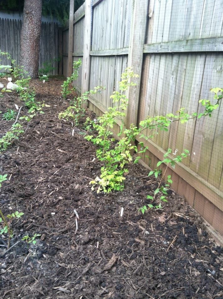 photo 10171192_10152082587227285_1076267926534316341_n.jpg